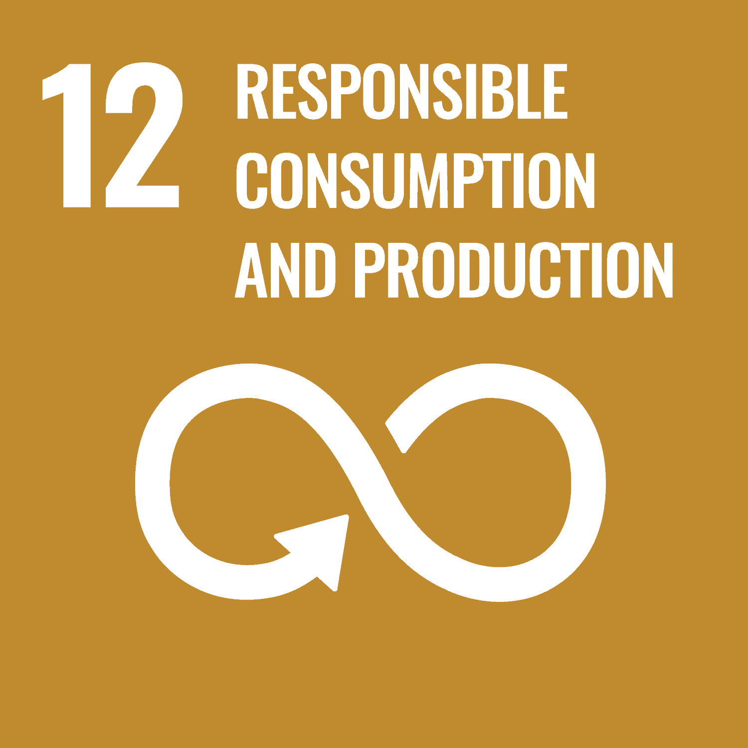 17.3.12 Publication of SDG 12 Report