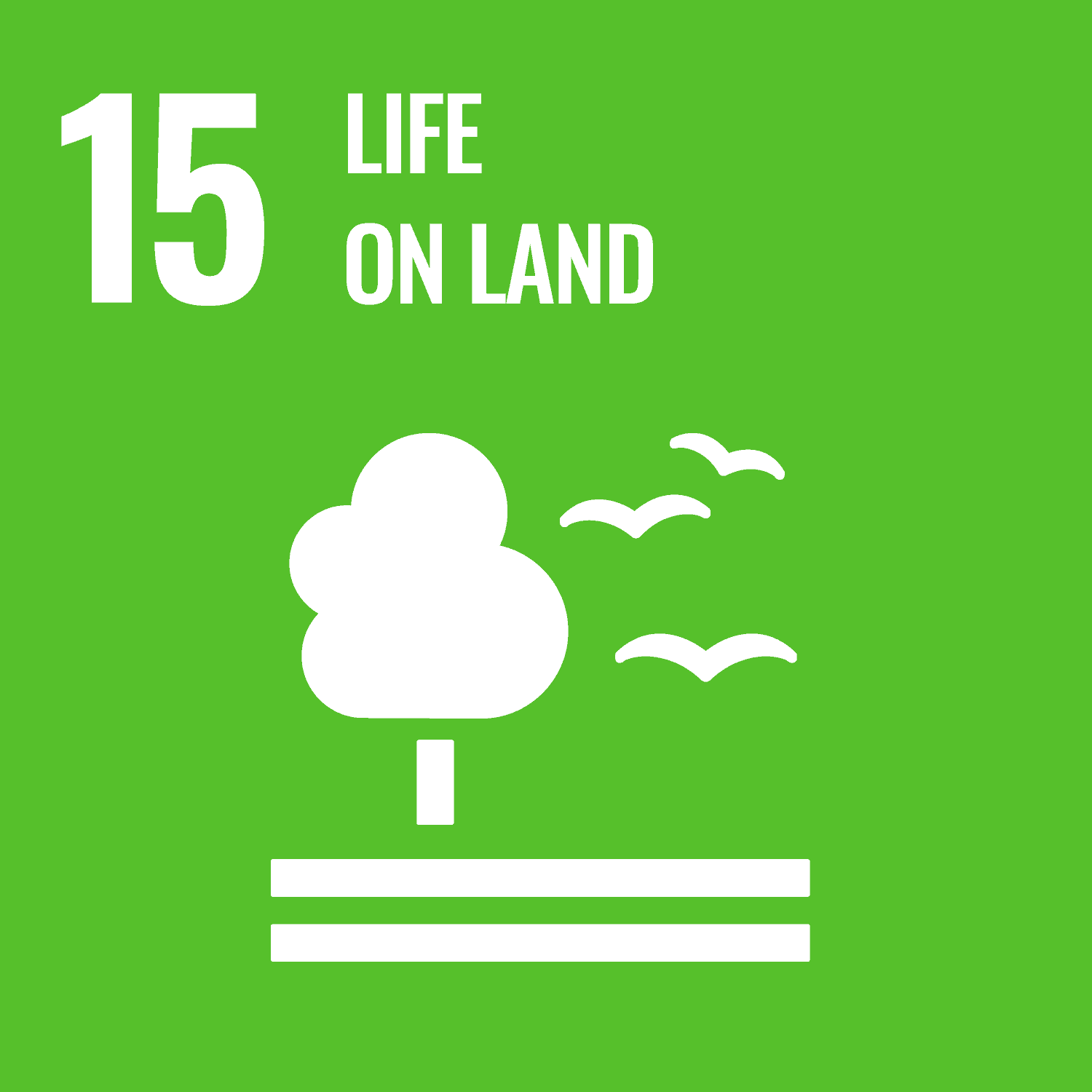 17.3.15 Publication of SDG 15 Report