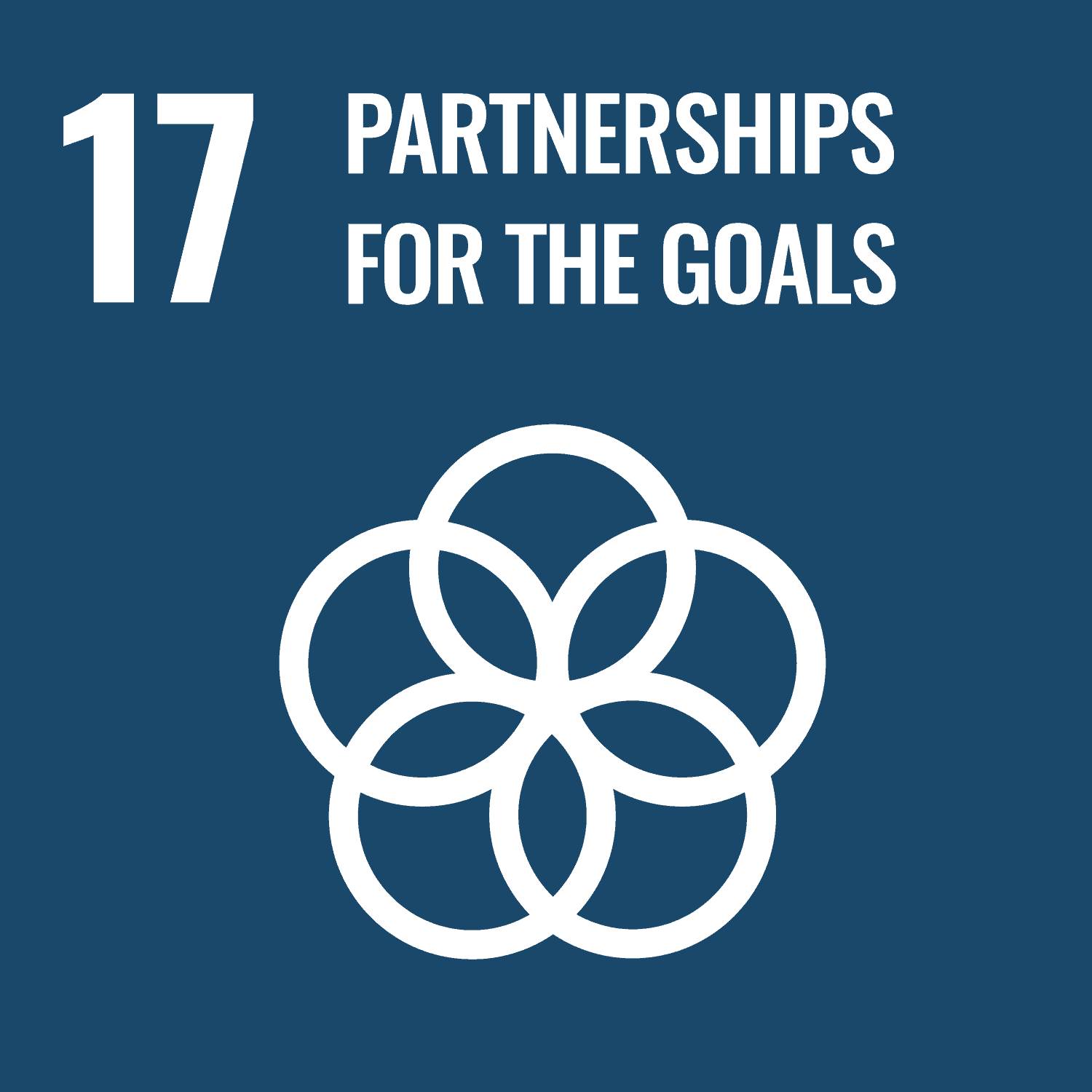 17.3.17 Publication of SDG 17 Report