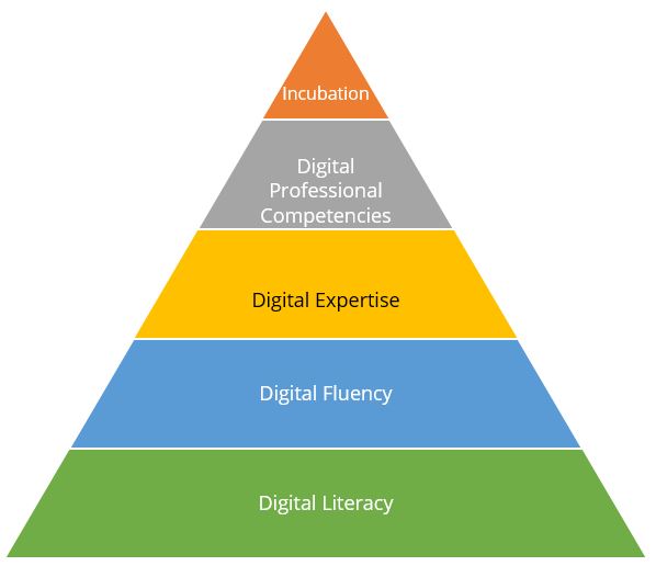 Approach followed by NIIT in the PSU Digital Academy