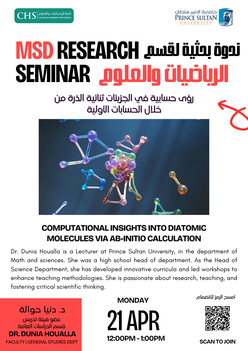 MSD Research Seminar (Computational Insights into Diatomic Molecules)