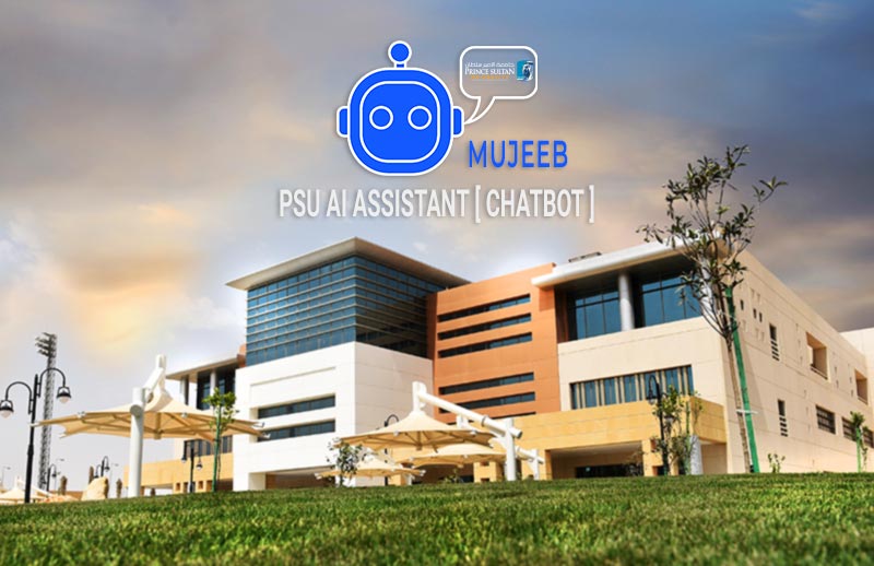 Talk to Mujeeb ChatBot